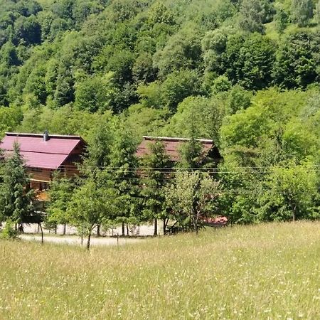 Pensiunea Simina Viσeu de Jos Εξωτερικό φωτογραφία