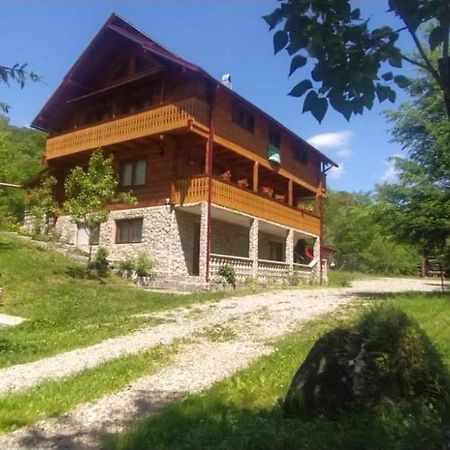 Pensiunea Simina Viσeu de Jos Εξωτερικό φωτογραφία