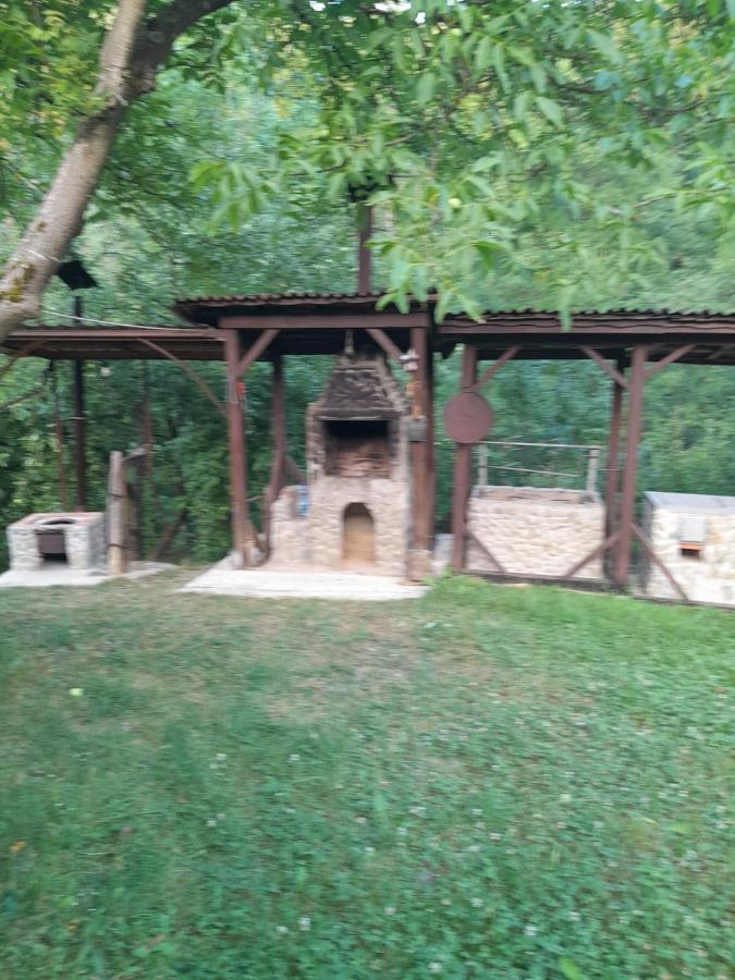 Pensiunea Simina Viσeu de Jos Εξωτερικό φωτογραφία