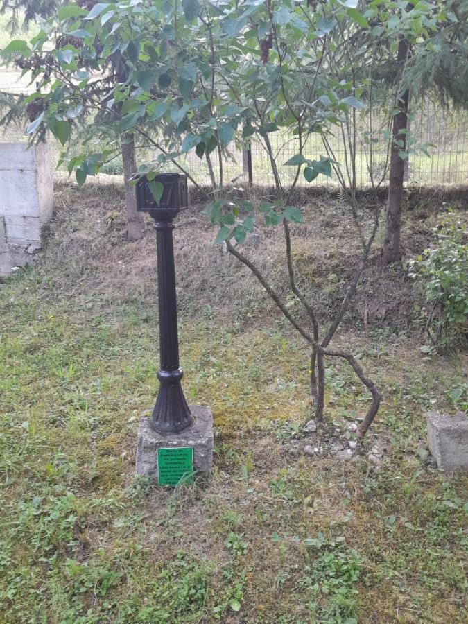 Pensiunea Simina Viσeu de Jos Εξωτερικό φωτογραφία